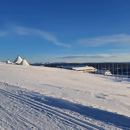 Nytt Anneks Med Fantastisk Utsikt Over Hallingdal. * 高尔