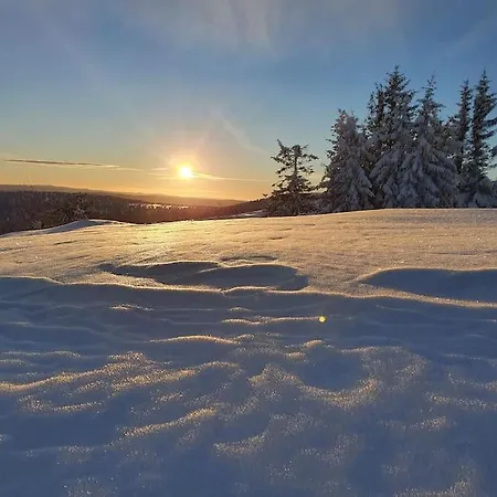 Nytt Anneks Med Fantastisk Utsikt Over Hallingdal. *