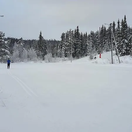 Nytt Anneks Med Fantastisk Utsikt Over Hallingdal. 度假居