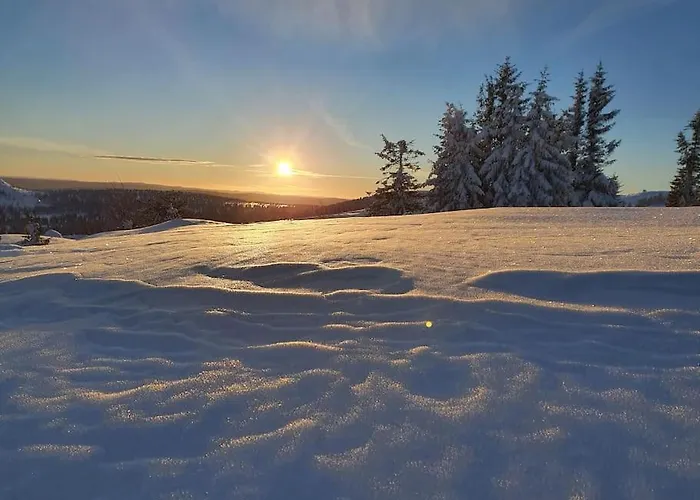 Nytt Anneks Med Fantastisk Utsikt Over Hallingdal. *