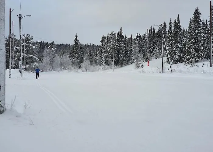 Nytt Anneks Med Fantastisk Utsikt Over Hallingdal. Casa de Férias