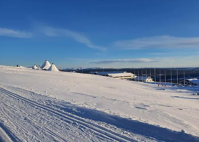 Nytt Anneks Med Fantastisk Utsikt Over Hallingdal. * Gol