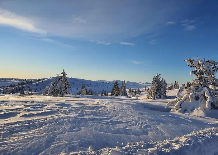 Nytt Anneks Med Fantastisk Utsikt Over Hallingdal. Vakantiehuis