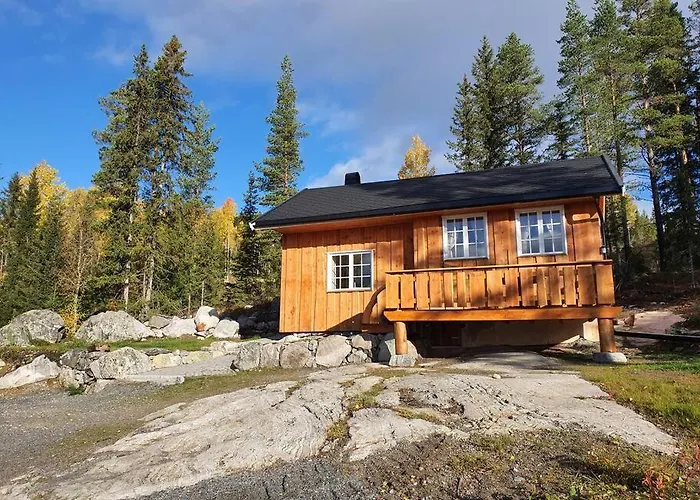 Nytt Anneks Med Fantastisk Utsikt Over Hallingdal. * Gol